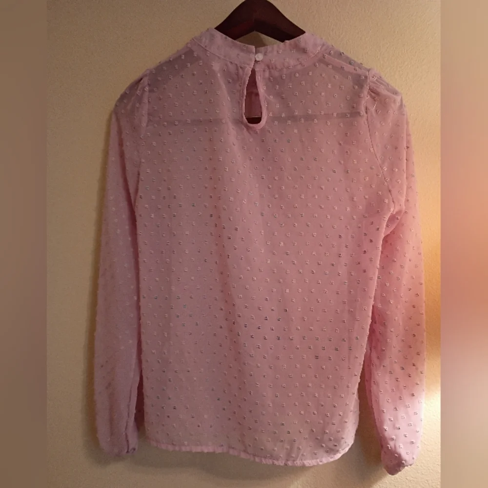 Pink Sheer Chiffon Clip Dot Mock Neck Long Sleeve Blouse - Picture 7 of 13